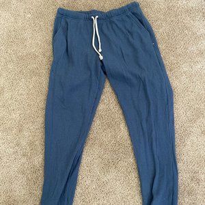 Blue Aerie Joggers